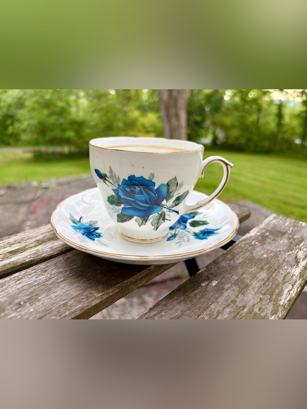 Duchess "Blue Rose"  Bone China Tea Cup & Saucer , Gold Rim, England